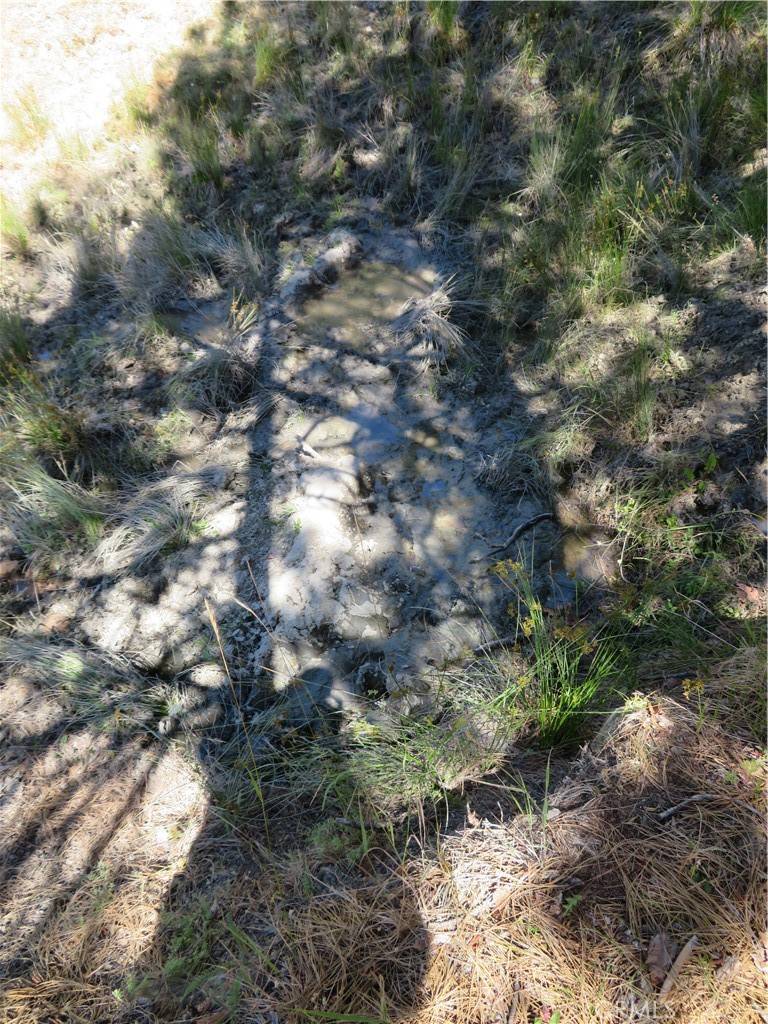 Covelo, CA 95428,0 Barns Ranch RD