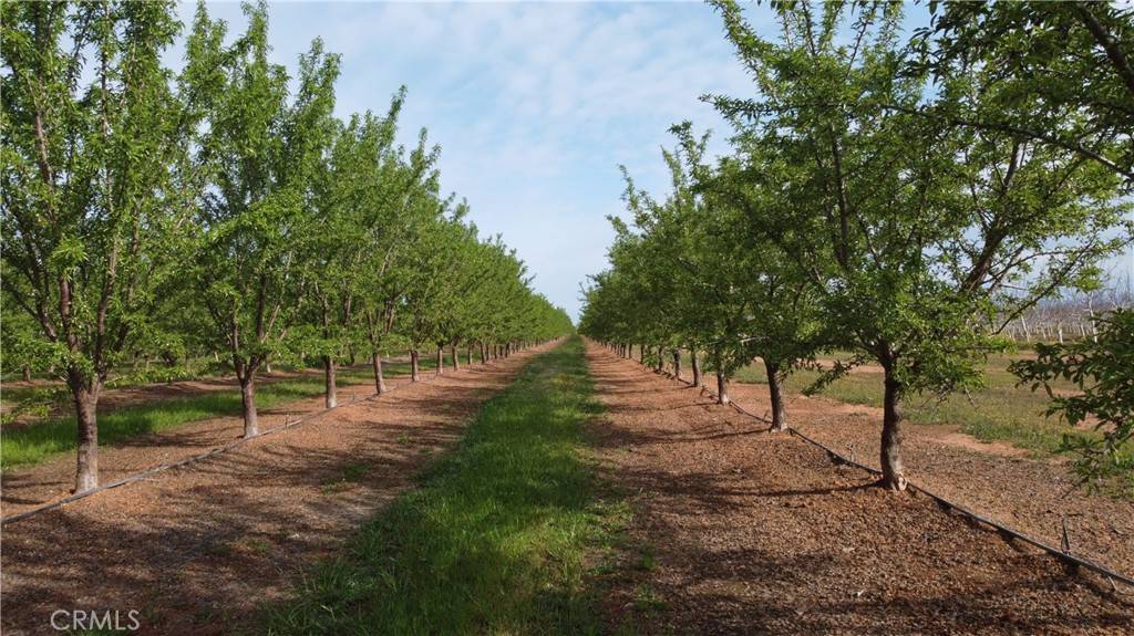 Red Bluff, CA 96080,7795 Rawson Road