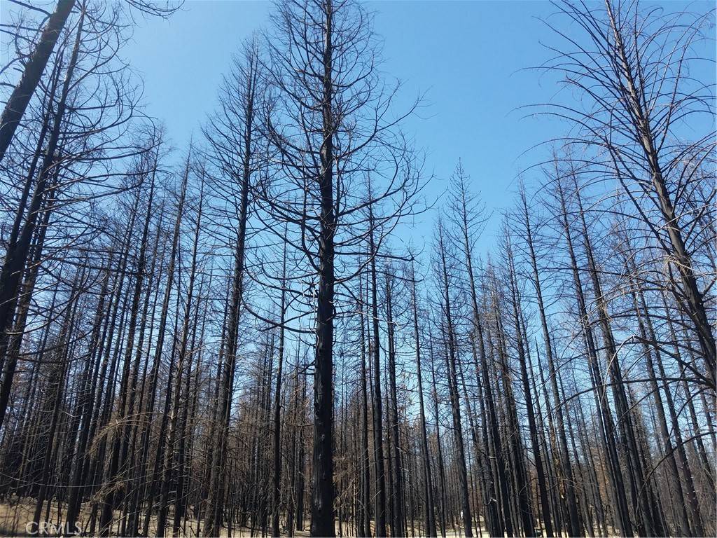 Berry Creek, CA 95916,0 Isham RD