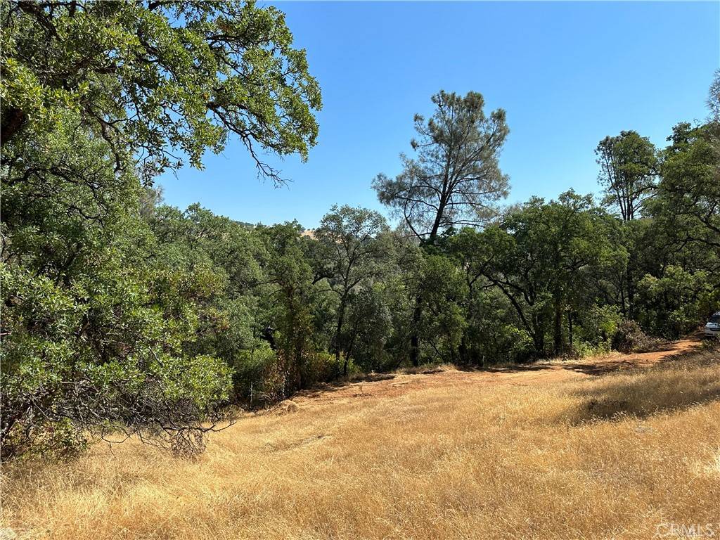 Yankee Hill, CA 95965,0 Rich Gulch RD