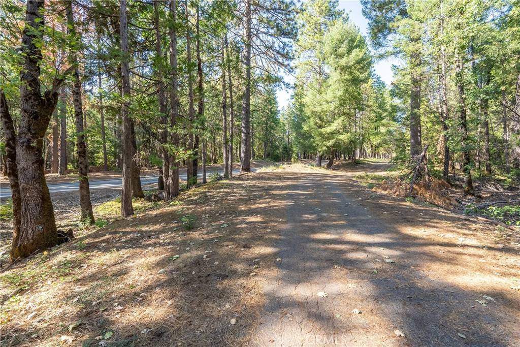 Forest Ranch, CA 95942,0 Platt Mountain Rd