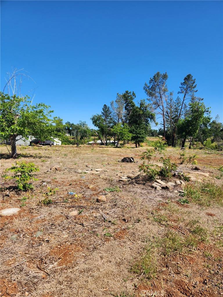 Paradise, CA 95969,100 Roe RD