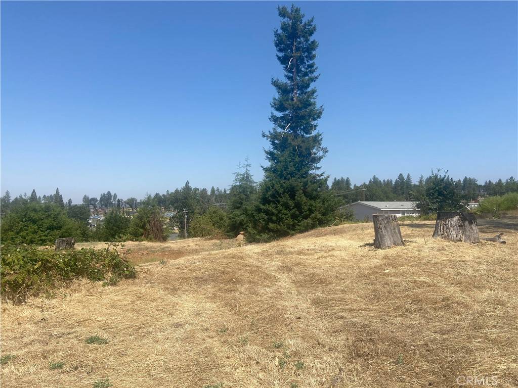 Paradise, CA 95969,6178 Berkshire WAY