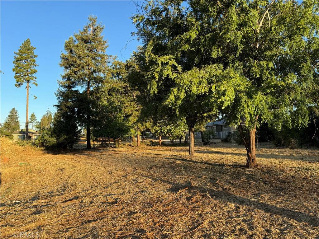 Paradise, CA 95969,6361 Tabernacle LN
