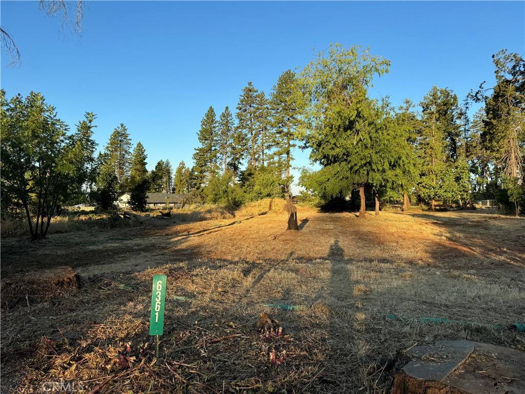Paradise, CA 95969,6361 Tabernacle LN