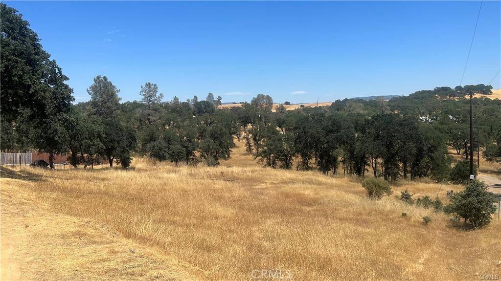 Oroville, CA 95968,0 Willow Creek DR