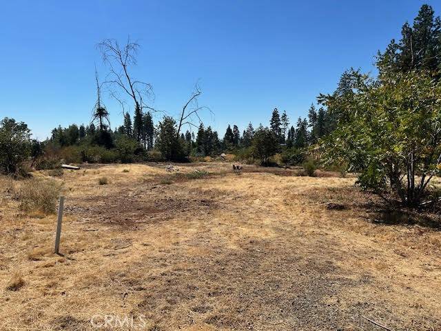 Paradise, CA 95969,1616 Nelson LN