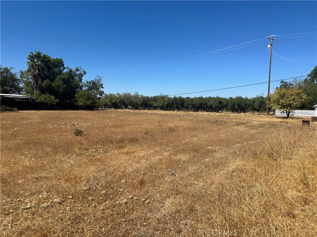 Orland, CA 95963,0 County Road 14