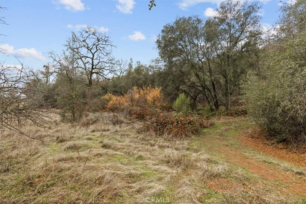 Browns Valley, CA 95918,10996 Peoria Road