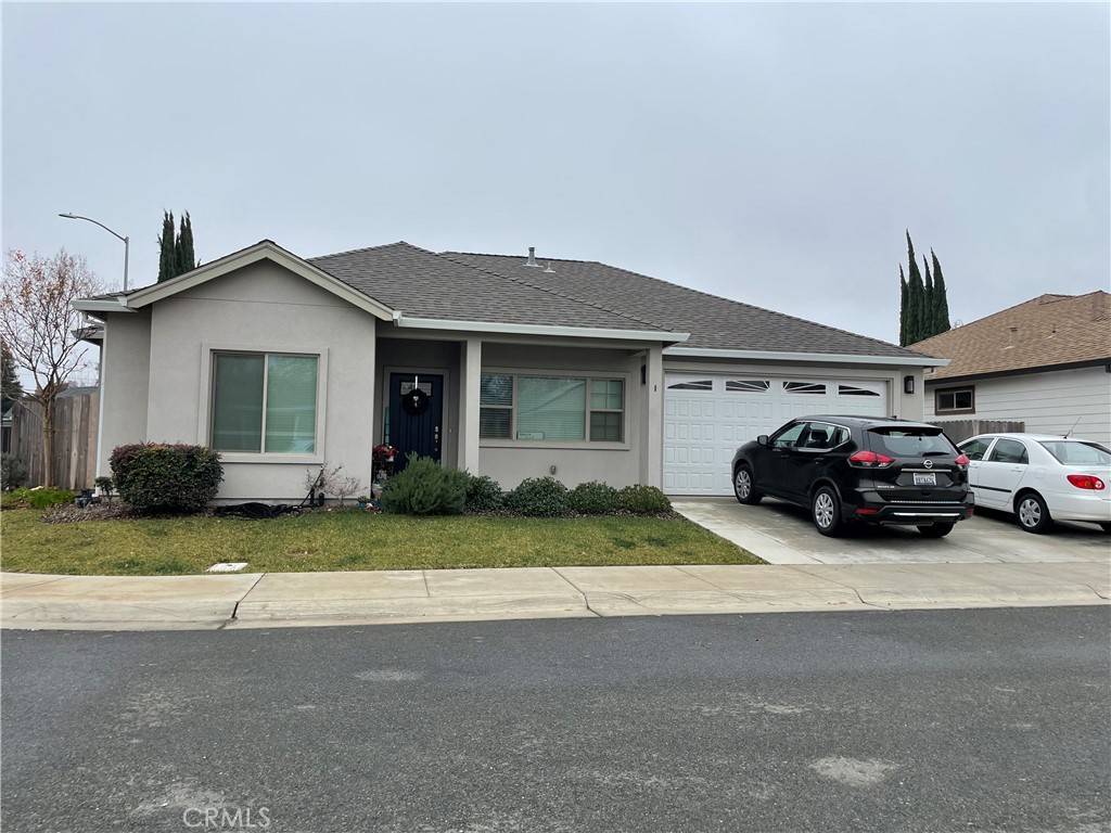 Chico, CA 95973,1 Jersey Brown CIR