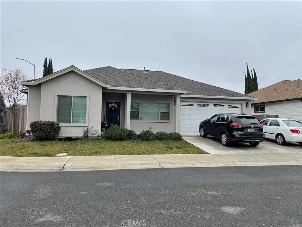 Chico, CA 95973,1 Jersey Brown CIR