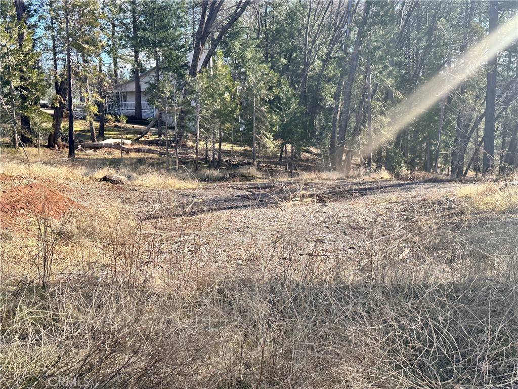 13744 Andover DR Magalia, CA 95954