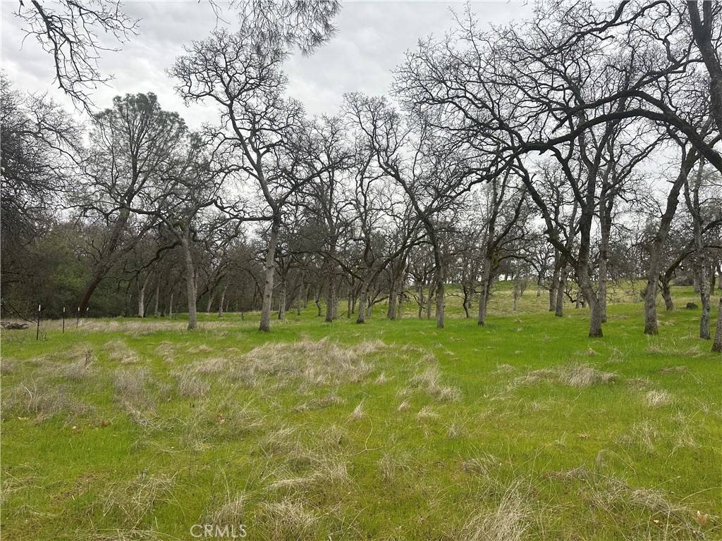 0 Royal Mountain RD Butte Valley, CA 95965