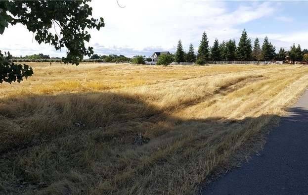 Orland, CA 95963,6150 County Road 200