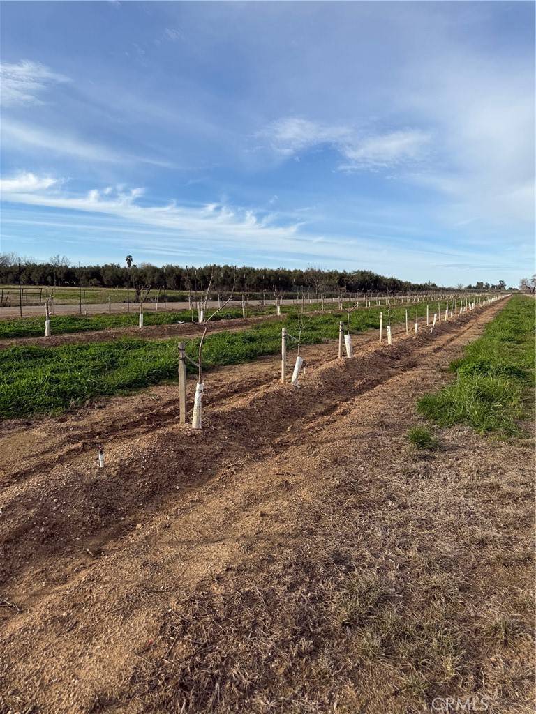 Orland, CA 95963,0 Road 17