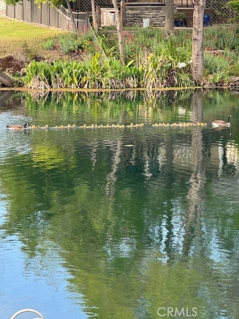 Chico, CA 95928,5 Catalina Point RD