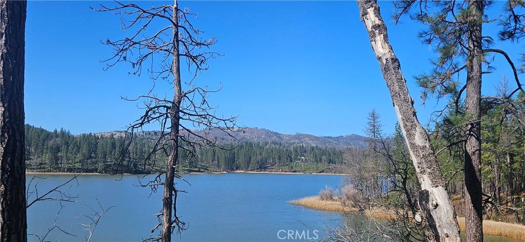 Oroville, CA 95965,3857 Jeffrey Pine LN