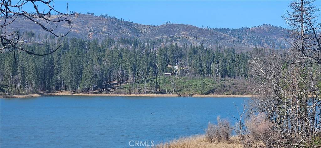 Oroville, CA 95965,3857 Jeffrey Pine LN