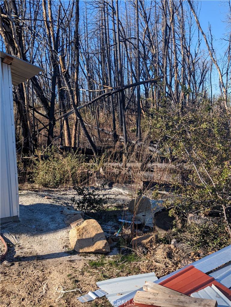 Berry Creek, CA 95916,1 Simpson
