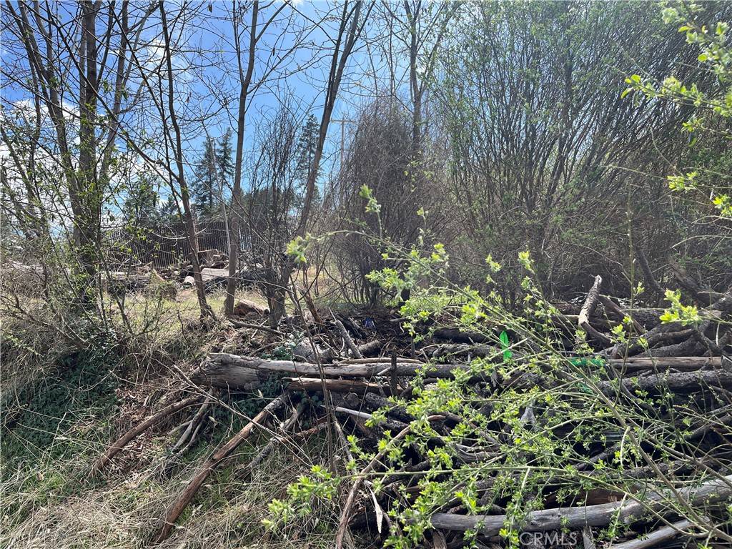 Magalia, CA 95954,13820 Sugar Pine DR