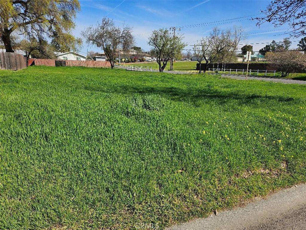 Corning, CA 96021,0 MARGUERITE