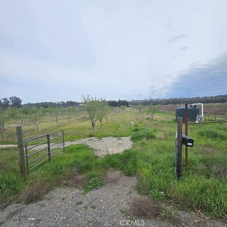 Orland, CA 95963,6378 County Road 11