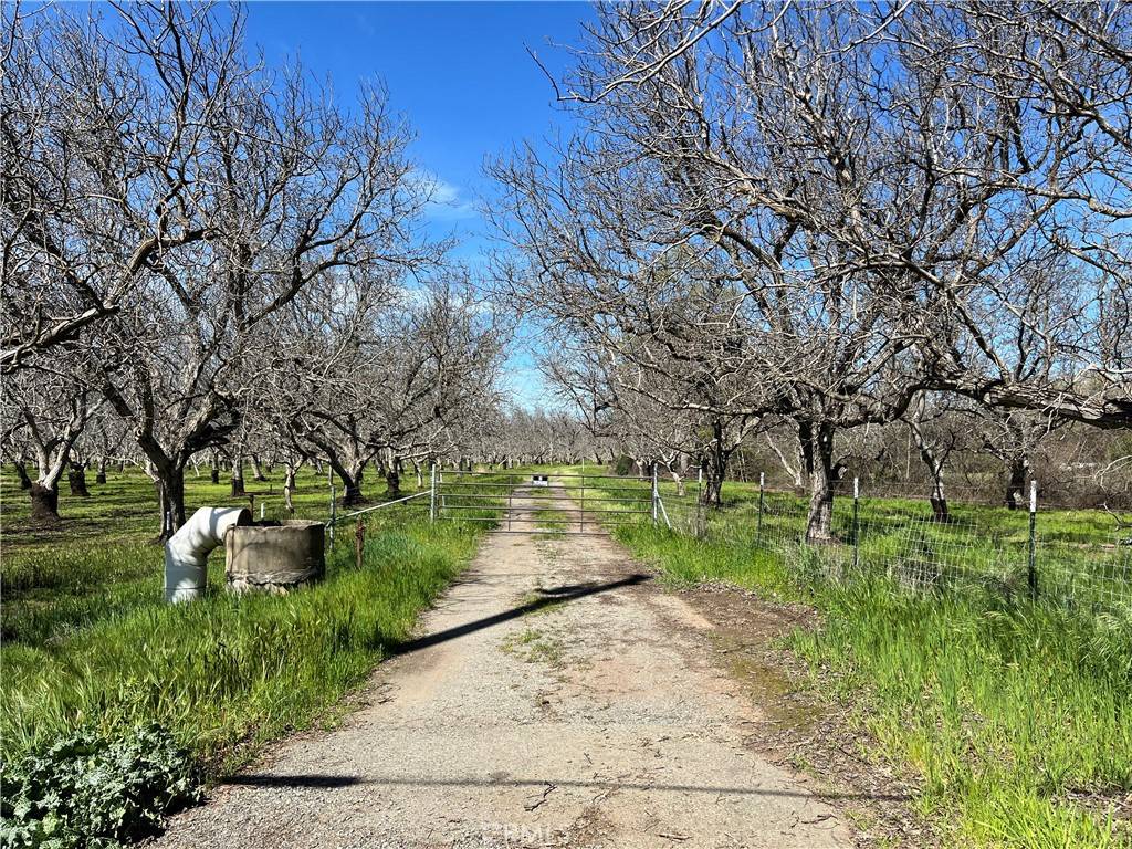 Red Bluff, CA 96080,0 Kauffman AVE