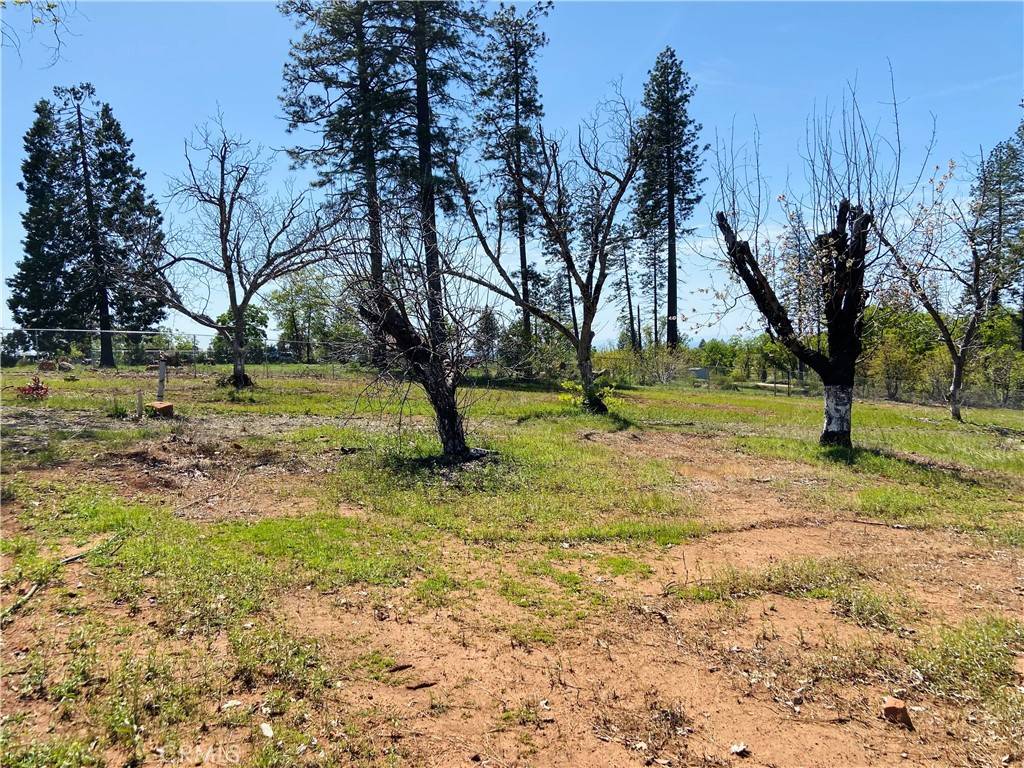 Paradise, CA 95969,5367 Edgewood LN
