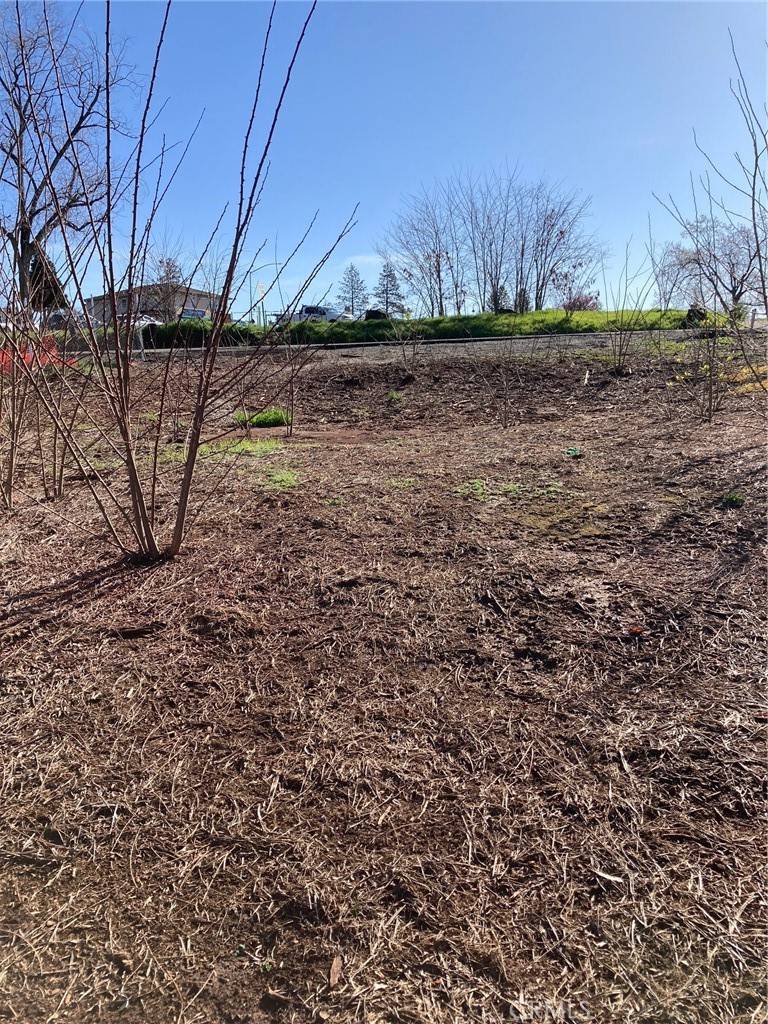 Paradise, CA 95969,5863 Foster RD