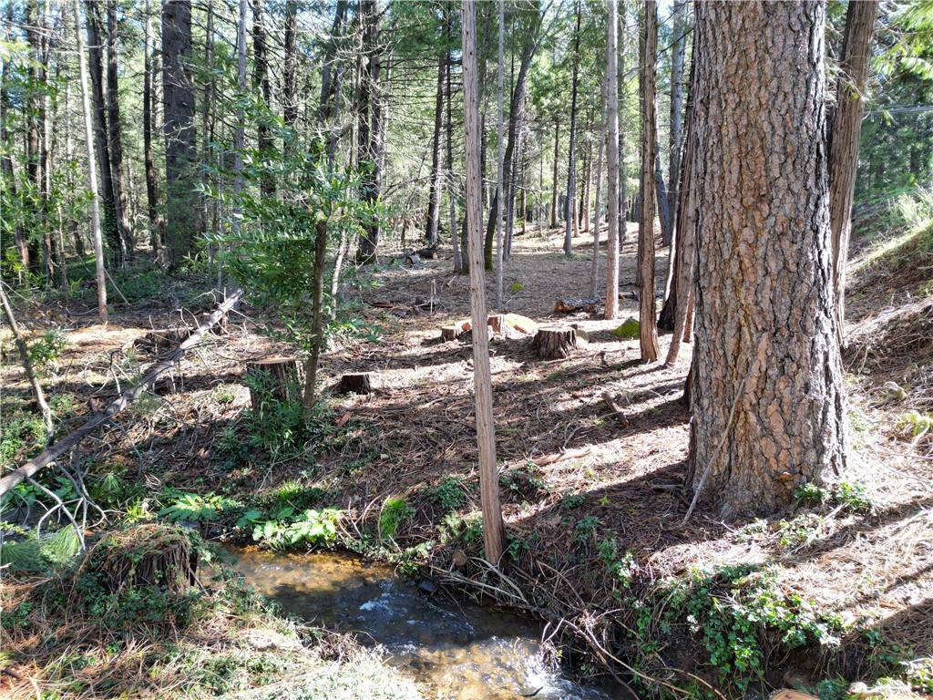 Magalia, CA 95954,0 Skyway