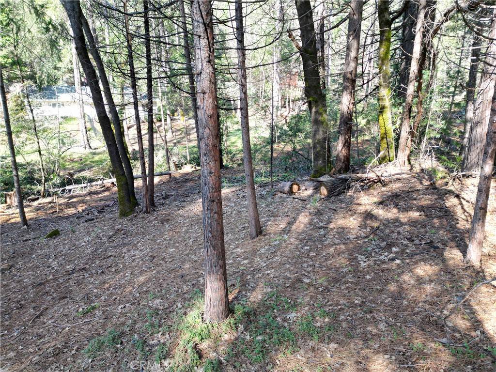 Magalia, CA 95954,0 Skyway