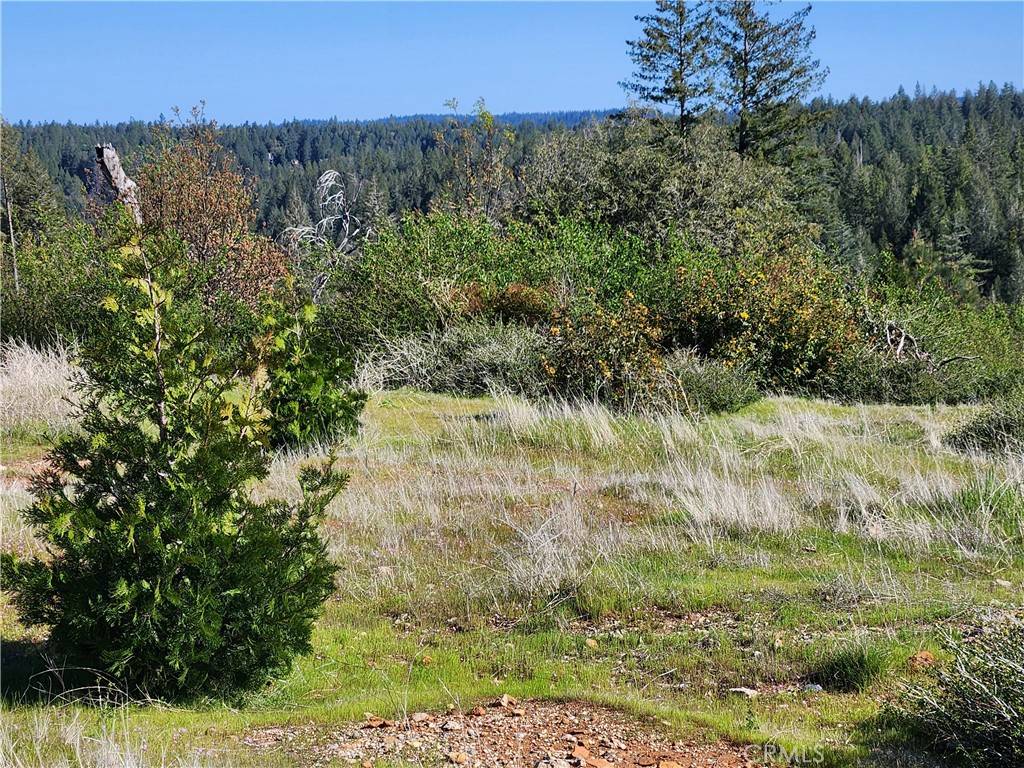 Magalia, CA 95954,14248 Monte Calle LN