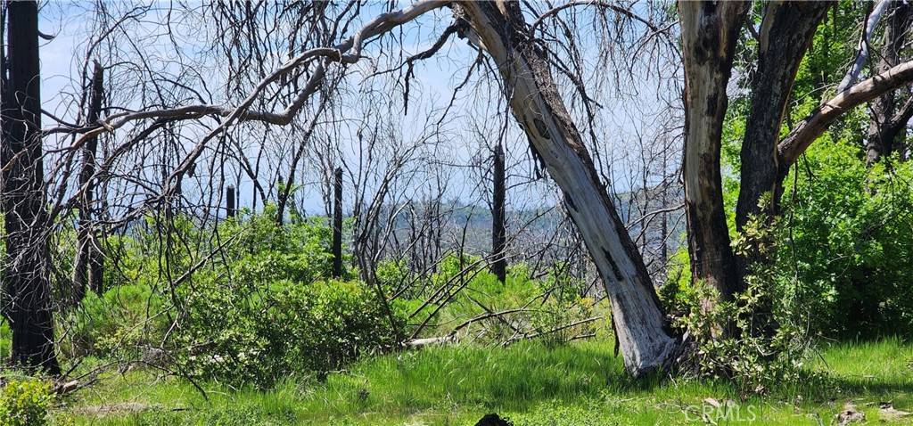 Berry Creek, CA 95916,51 Horseshoe TRL