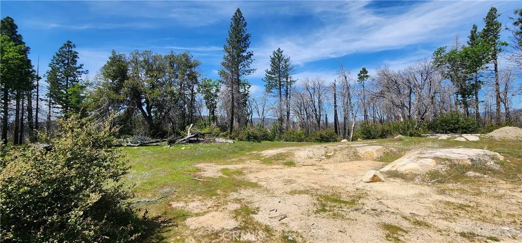 Berry Creek, CA 95916,51 Horseshoe TRL