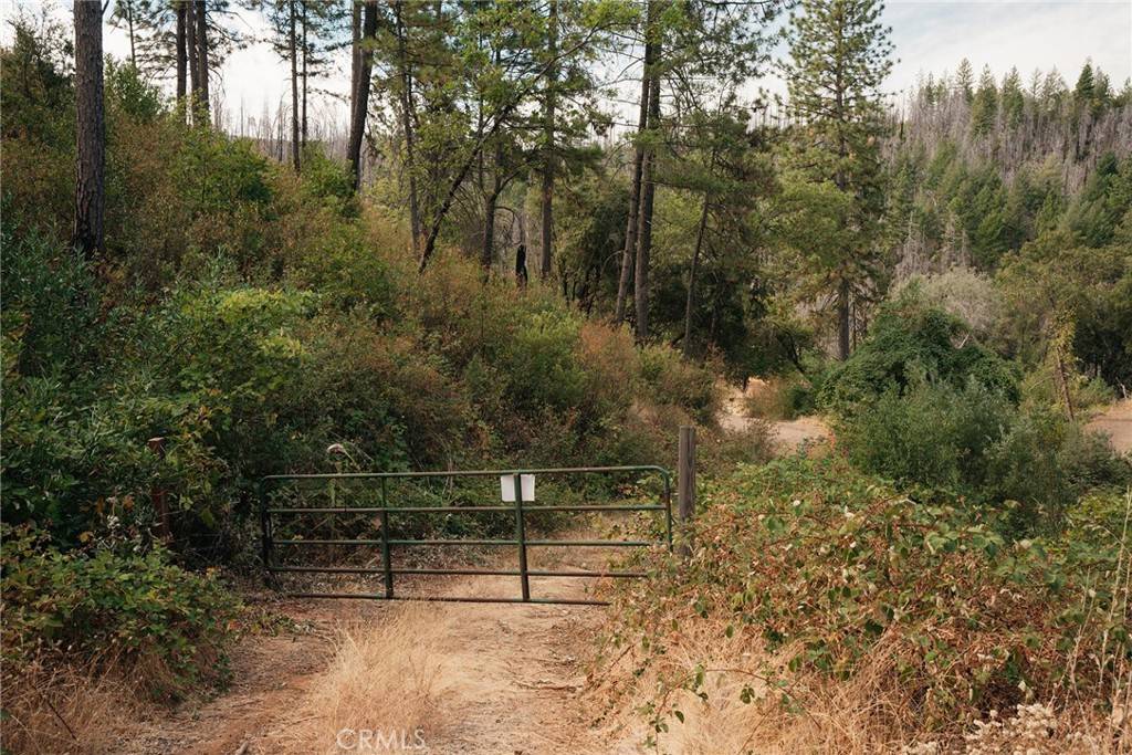 Concow, CA 95965,0 Deadwood RD