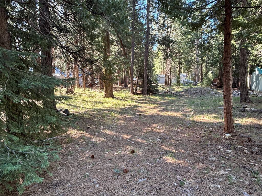 Butte Meadows, CA 95942,7586 Humboldt RD