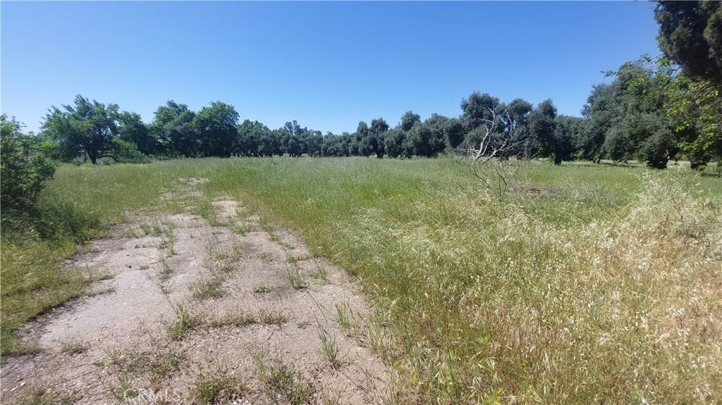 Corning, CA 96021,2915 S 99W