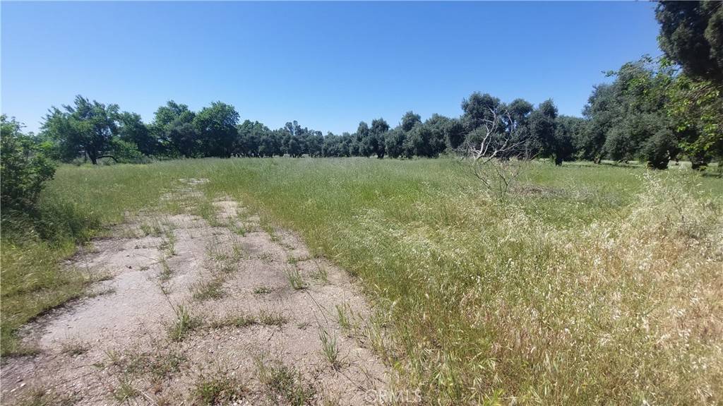 Corning, CA 96021,2915 S 99W