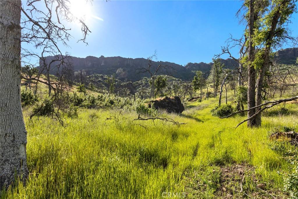 Chico, CA 95928,0 Honey Run Road