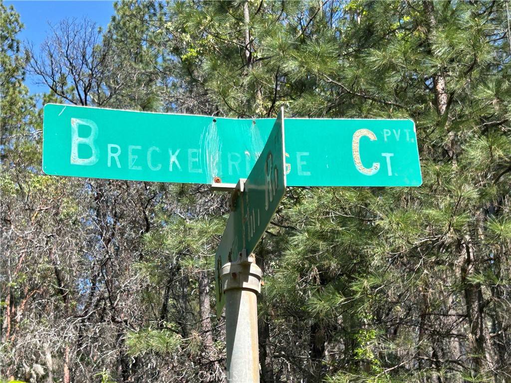 Berry Creek, CA 95916,64 Breckenridge CT