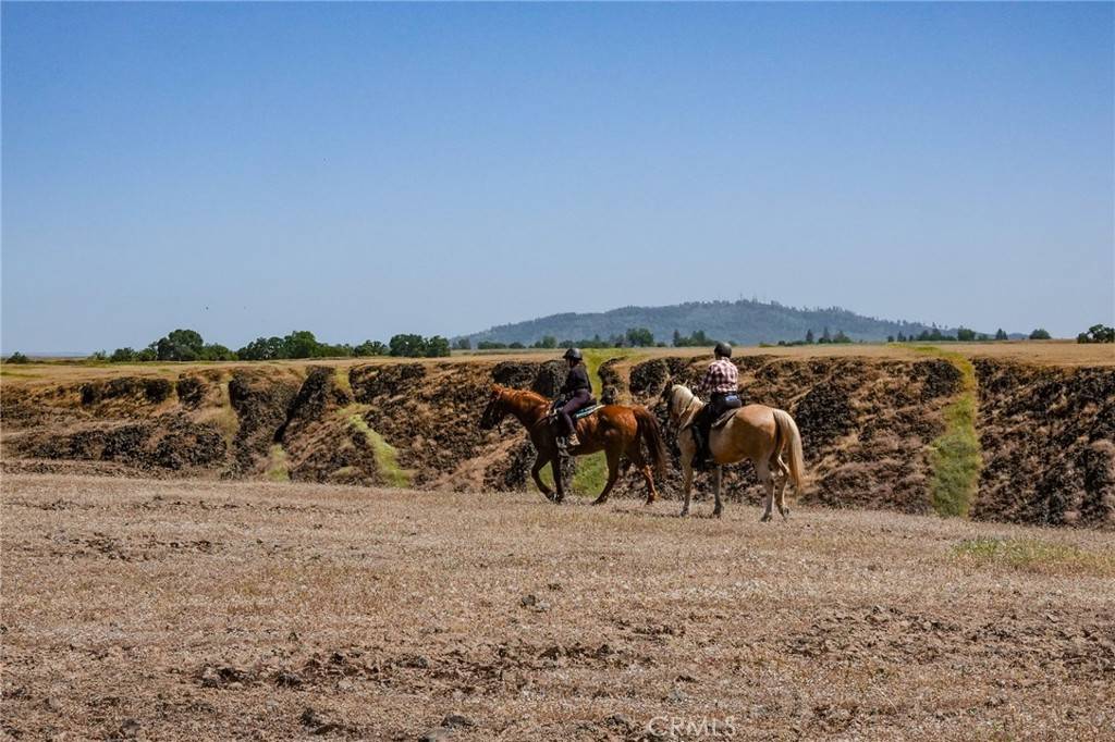 Oroville, CA 95965,1477 Flag Creek RD