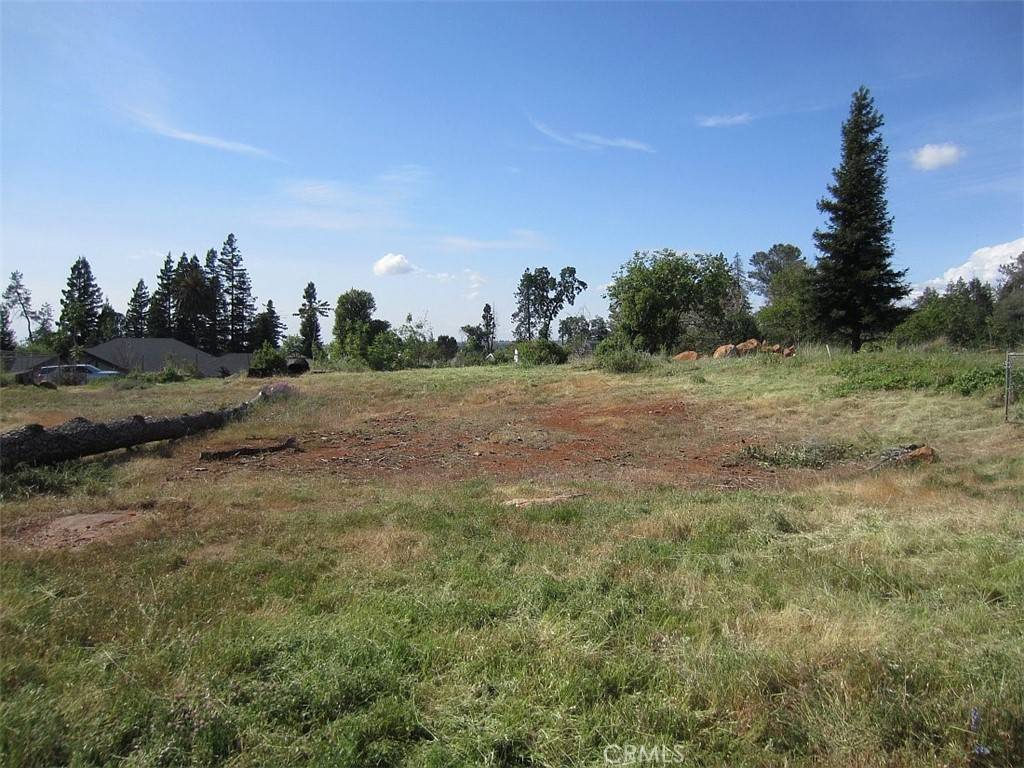 Paradise, CA 95969,3933 Neal RD