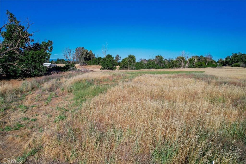 Orland, CA 95963,0 County Road DD