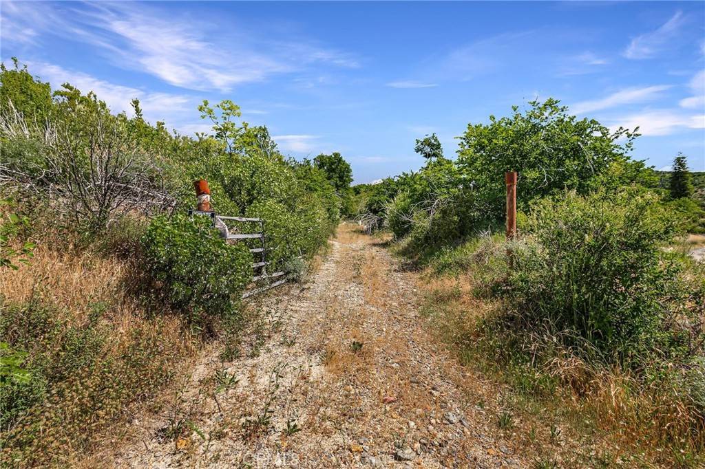 Oroville, CA 95965,4189 Schwyhart LN