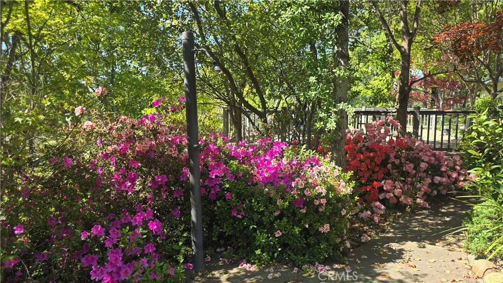 Oroville, CA 95966,50 Walter Blume LN