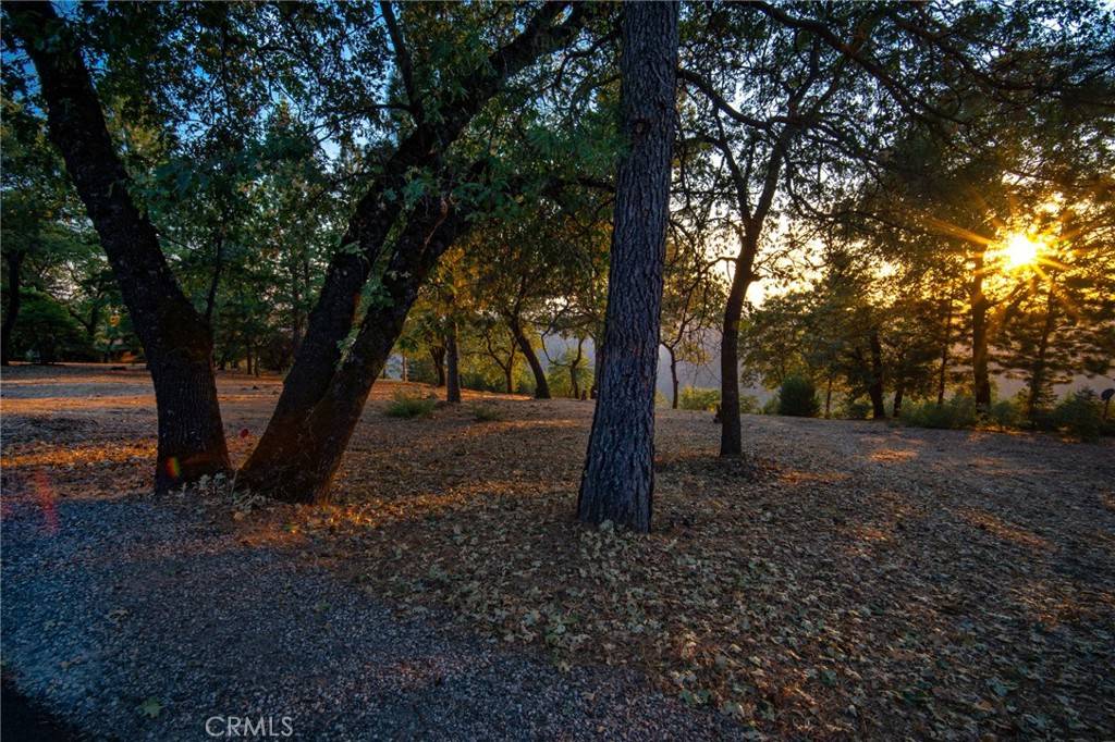 Forest Ranch, CA 95942,0 Woodland Park DR