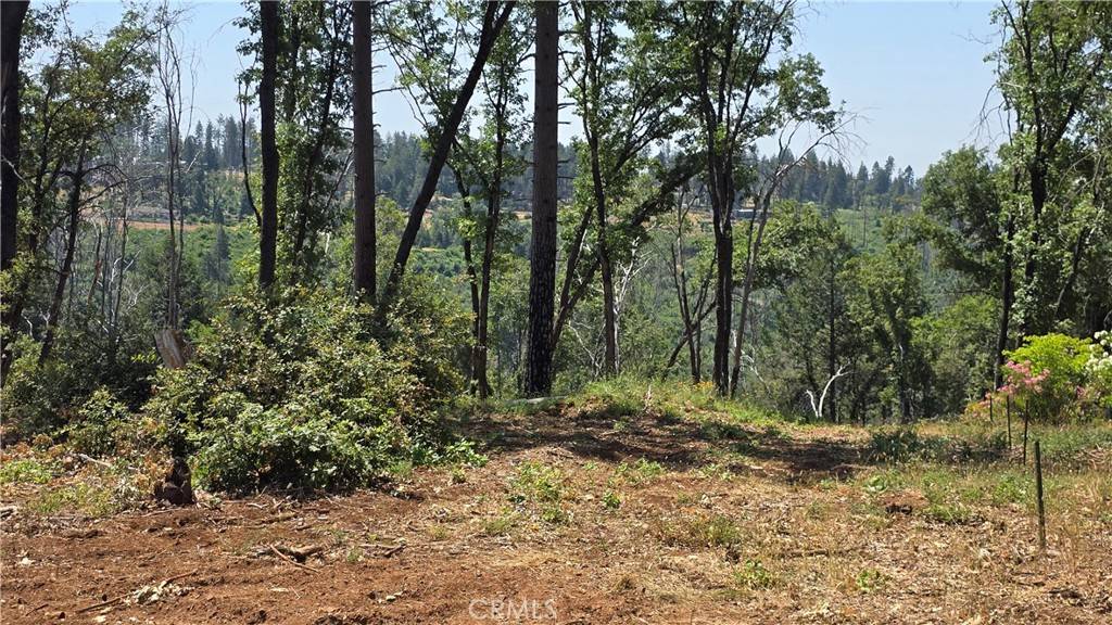 Magalia, CA 95954,0 Adrian DR