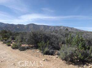 Juniper Hills, CA 93543,12700 Vac/Vic Z14e Lepage Ranch Rd/L