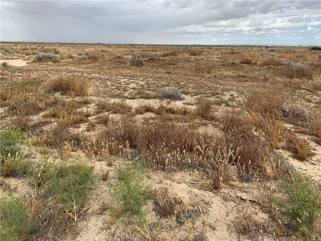 Antelope Acres, CA 93536,0 Vac/80 Stw/Vic Avenue F6