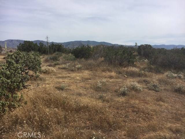 Agua Dulce, CA 91350,0 Vac/Darling Rd/Vic Tyndall RD